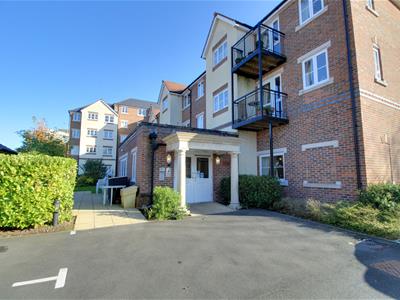 Picture 12